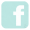 iconFacebook